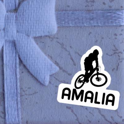 Downhiller Aufkleber Amalia Gift package Image