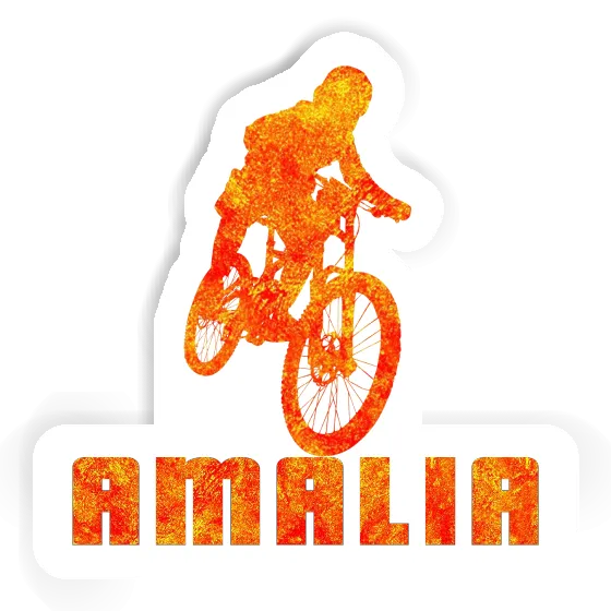 Amalia Autocollant Freeride Biker Gift package Image