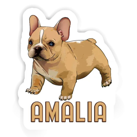 Amalia Autocollant Bouledogue Gift package Image