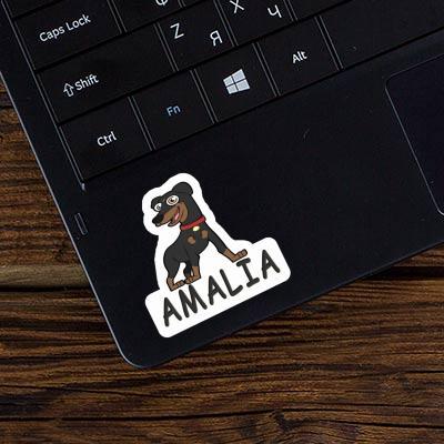 Pinscher Aufkleber Amalia Gift package Image