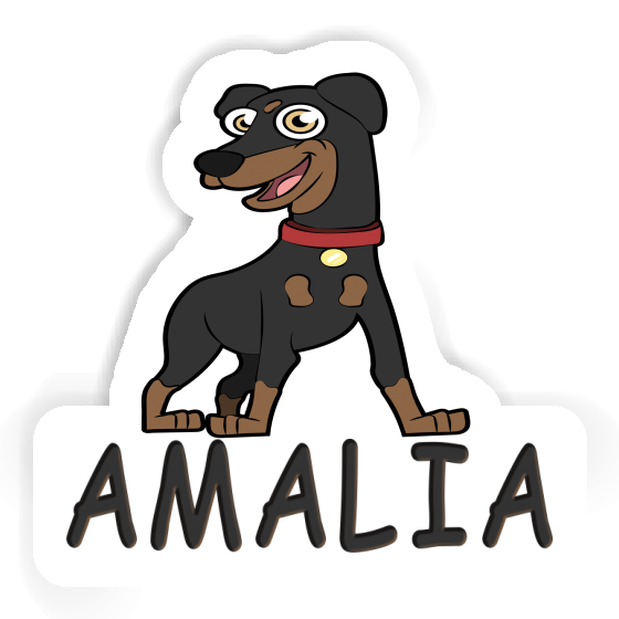 Pinscher Autocollant Amalia Notebook Image