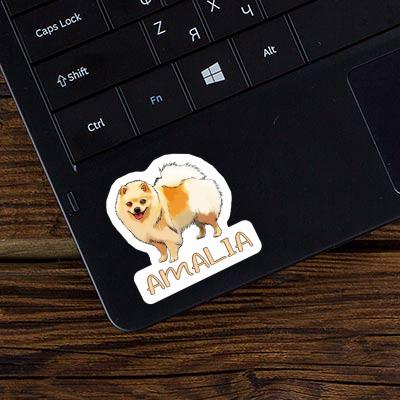 Sticker German Spitz Amalia Gift package Image