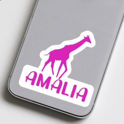 Autocollant Amalia Girafe Gift package Image