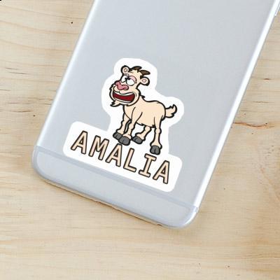 Amalia Sticker Goat Gift package Image