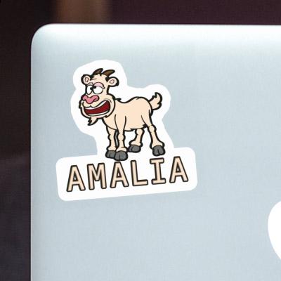 Chèvre Autocollant Amalia Laptop Image