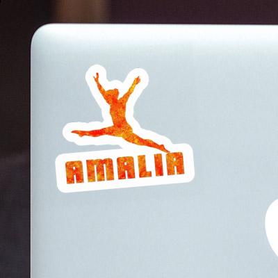 Gymnast Sticker Amalia Laptop Image