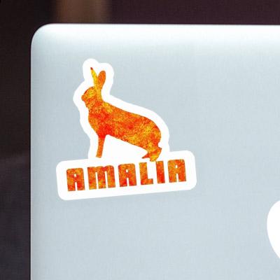 Rabbit Sticker Amalia Gift package Image