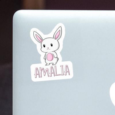 Rabbit Sticker Amalia Gift package Image