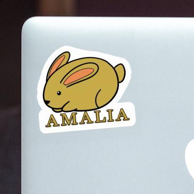 Sticker Amalia Hase Gift package Image