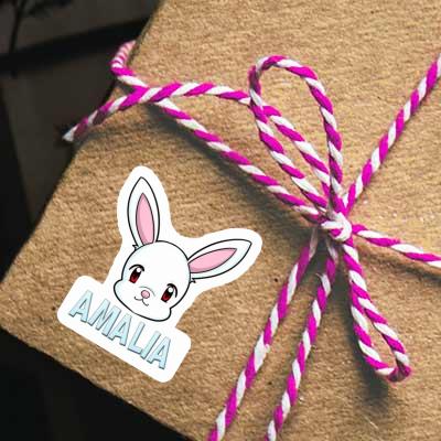 Autocollant Amalia Lapin Gift package Image