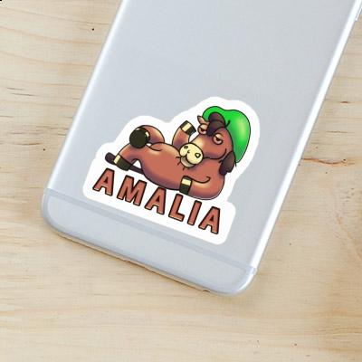 Sticker Amalia Horse Gift package Image