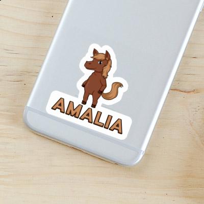 Amalia Sticker Pferd Gift package Image