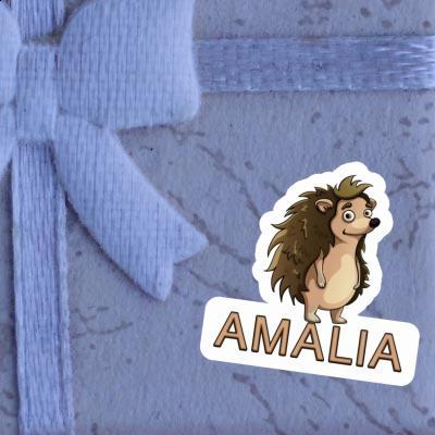 Igel Aufkleber Amalia Gift package Image