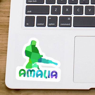 Amalia Sticker Karateka Gift package Image