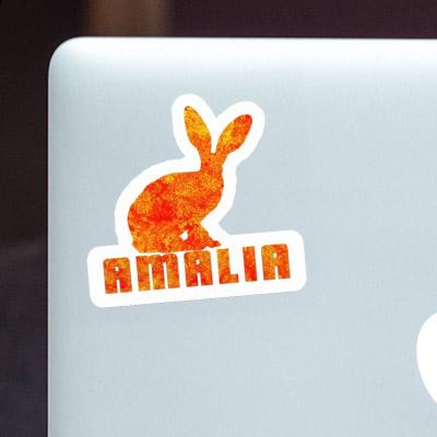 Amalia Sticker Rabbit Gift package Image