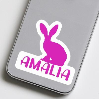 Sticker Amalia Rabbit Notebook Image