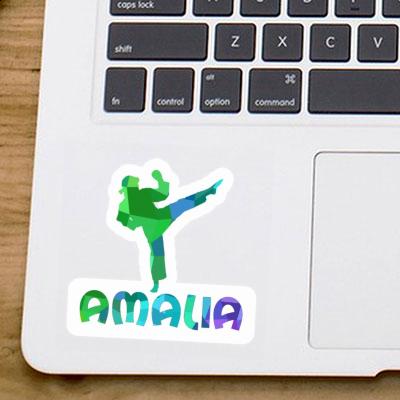 Karateka Sticker Amalia Notebook Image