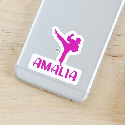 Sticker Amalia Karateka Notebook Image