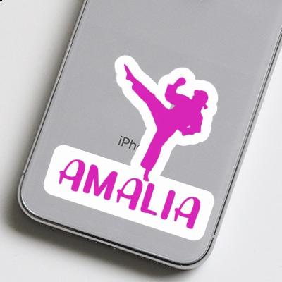 Karateka Sticker Amalia Laptop Image