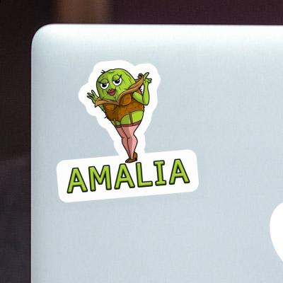 Sticker Amalia Kiwi Gift package Image