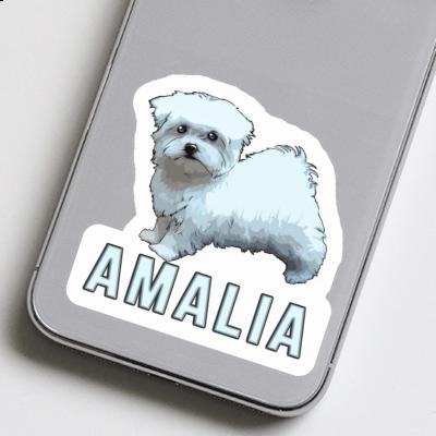 Autocollant Amalia Chien Gift package Image