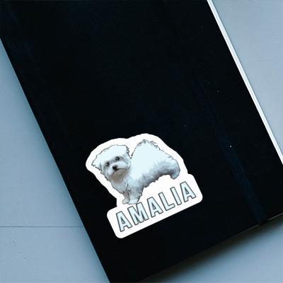 Amalia Aufkleber Malteserhund Gift package Image