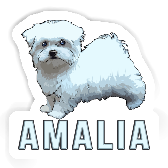 Amalia Aufkleber Malteserhund Image