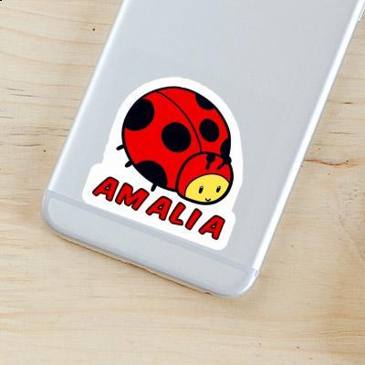 Amalia Sticker Ladybug Gift package Image