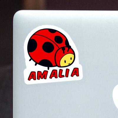 Amalia Sticker Ladybug Gift package Image