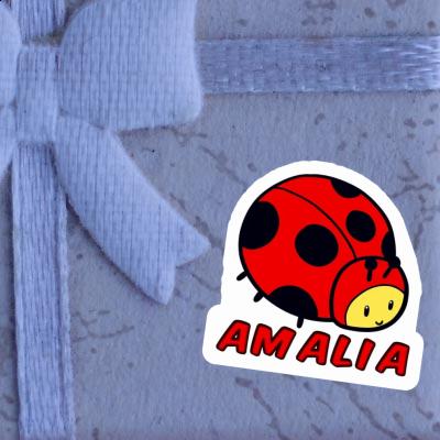 Autocollant Amalia Coccinelle Gift package Image