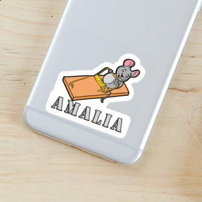 Sticker Fitness Mouse Amalia Gift package Image