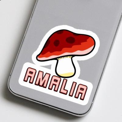 Fungal Sticker Amalia Gift package Image