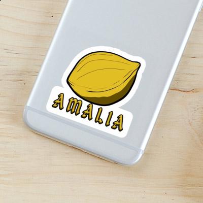 Sticker Amalia Nut Image