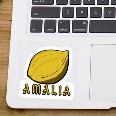 Amalia Sticker Nuss Notebook Image