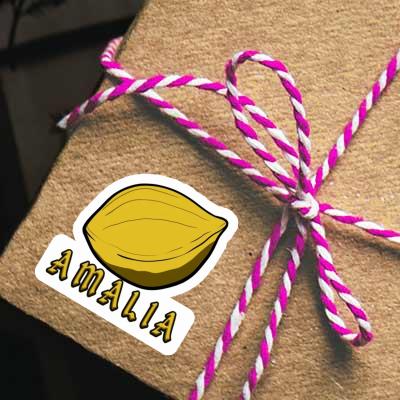 Sticker Amalia Nut Notebook Image