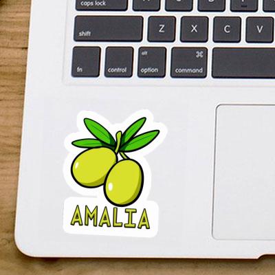 Amalia Sticker Olive Gift package Image