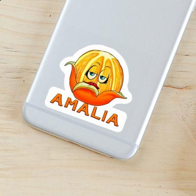 Autocollant Orange Amalia Gift package Image