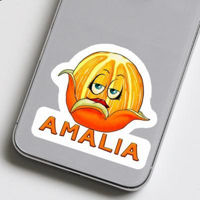 Sticker Orange Amalia Laptop Image