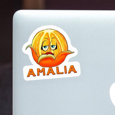 Sticker Orange Amalia Notebook Image