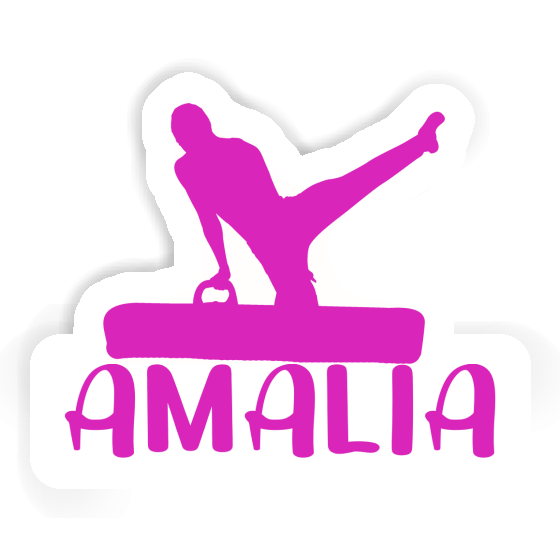 Amalia Sticker Gymnast Gift package Image