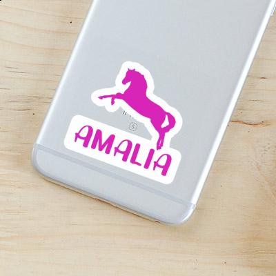 Amalia Sticker Horse Gift package Image