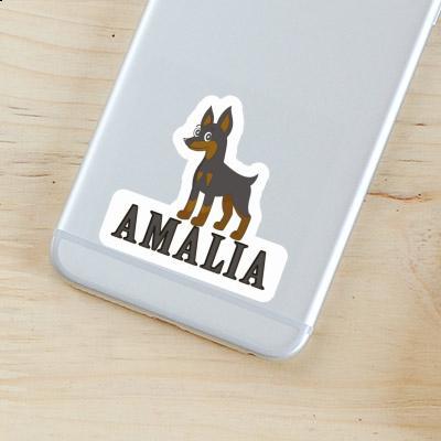 Amalia Autocollant Pinscher Notebook Image