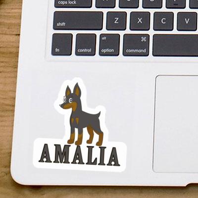 Amalia Autocollant Pinscher Image