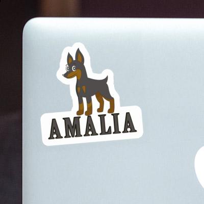 Pinscher Sticker Amalia Image