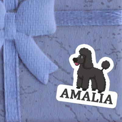 Sticker Pudel Amalia Gift package Image