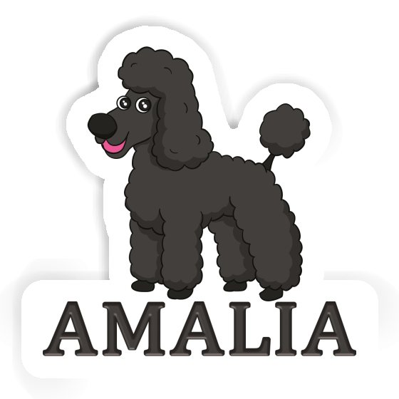 Autocollant Caniche Amalia Image