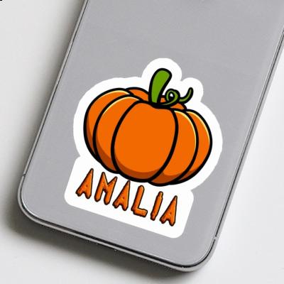 Sticker Amalia Kürbis Gift package Image