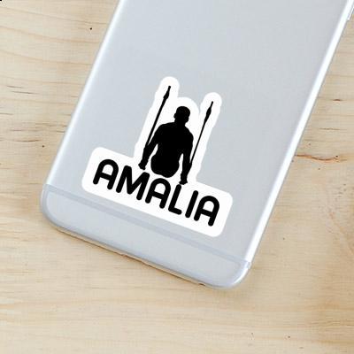 Sticker Ring gymnast Amalia Laptop Image