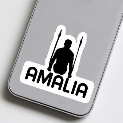 Ringturner Sticker Amalia Gift package Image