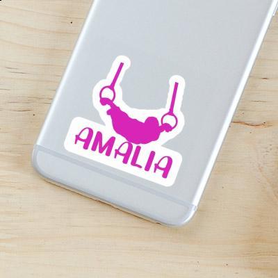 Ringturnerin Sticker Amalia Notebook Image